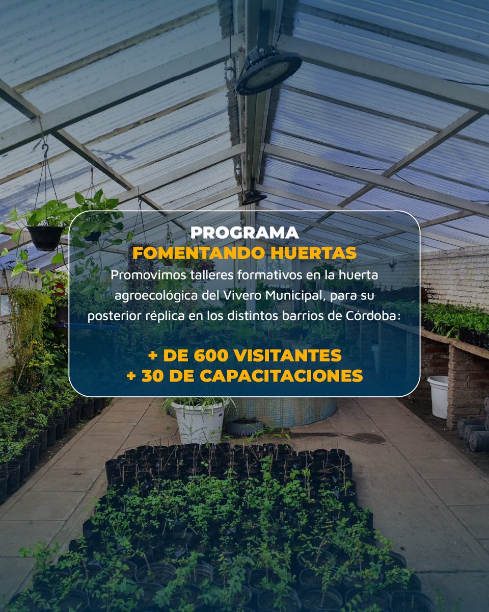 AmbienteMuniCba's tweet image. Durante todo el 2025 trabajamos a través de la Dirección de Espacios Verdes para cuidar, recuperar y ampliar los diferentes rincones públicos de nuestra ciudad. 🌳🌿