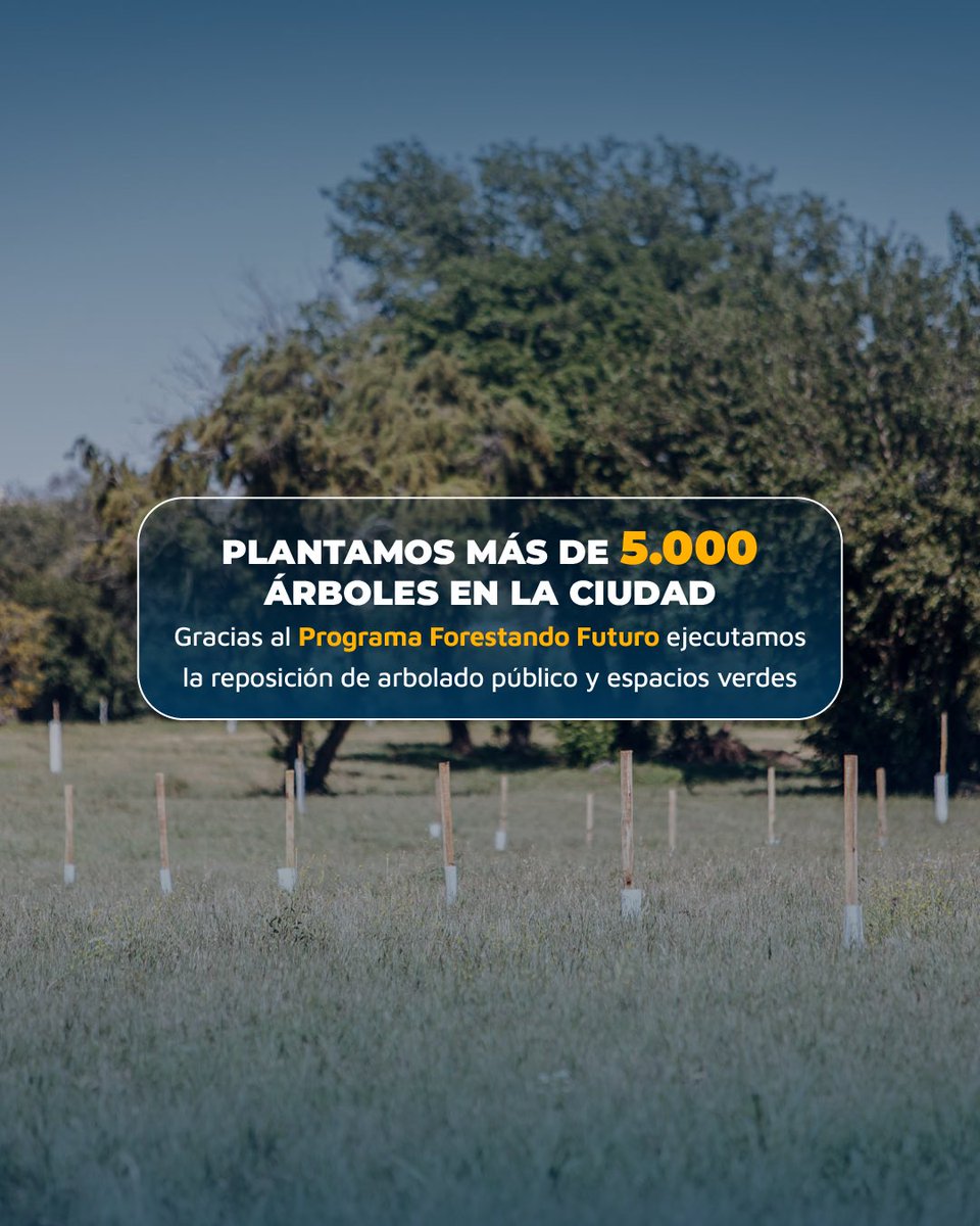 AmbienteMuniCba's tweet image. Durante todo el 2025 trabajamos a través de la Dirección de Espacios Verdes para cuidar, recuperar y ampliar los diferentes rincones públicos de nuestra ciudad. 🌳🌿