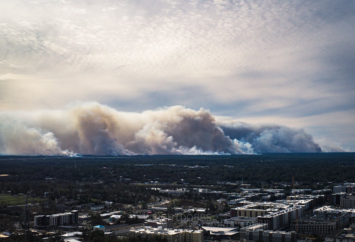 WrightDobbs's tweet image. Prescribed (aka controlled burns) fires south of #Tally this afternoon. Photographed from the Florida Capitol building in #Tallahassee. 

#FLwx #GoodFires @spann