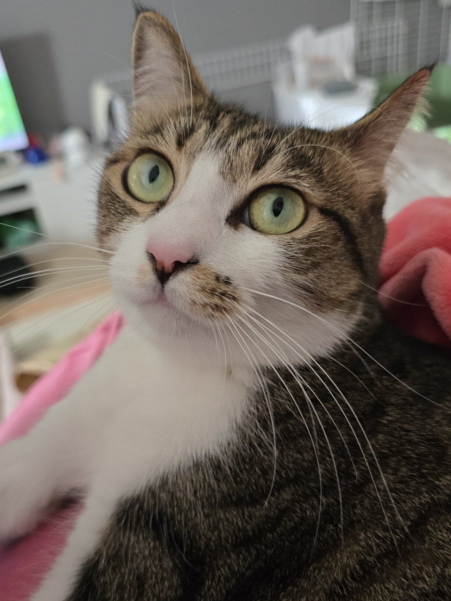 まりもちゃん！と🧌 (@marimo2021915) / Posts / X