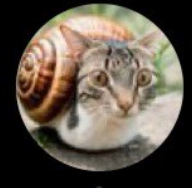 . (@gu____bo) on Twitter photo 