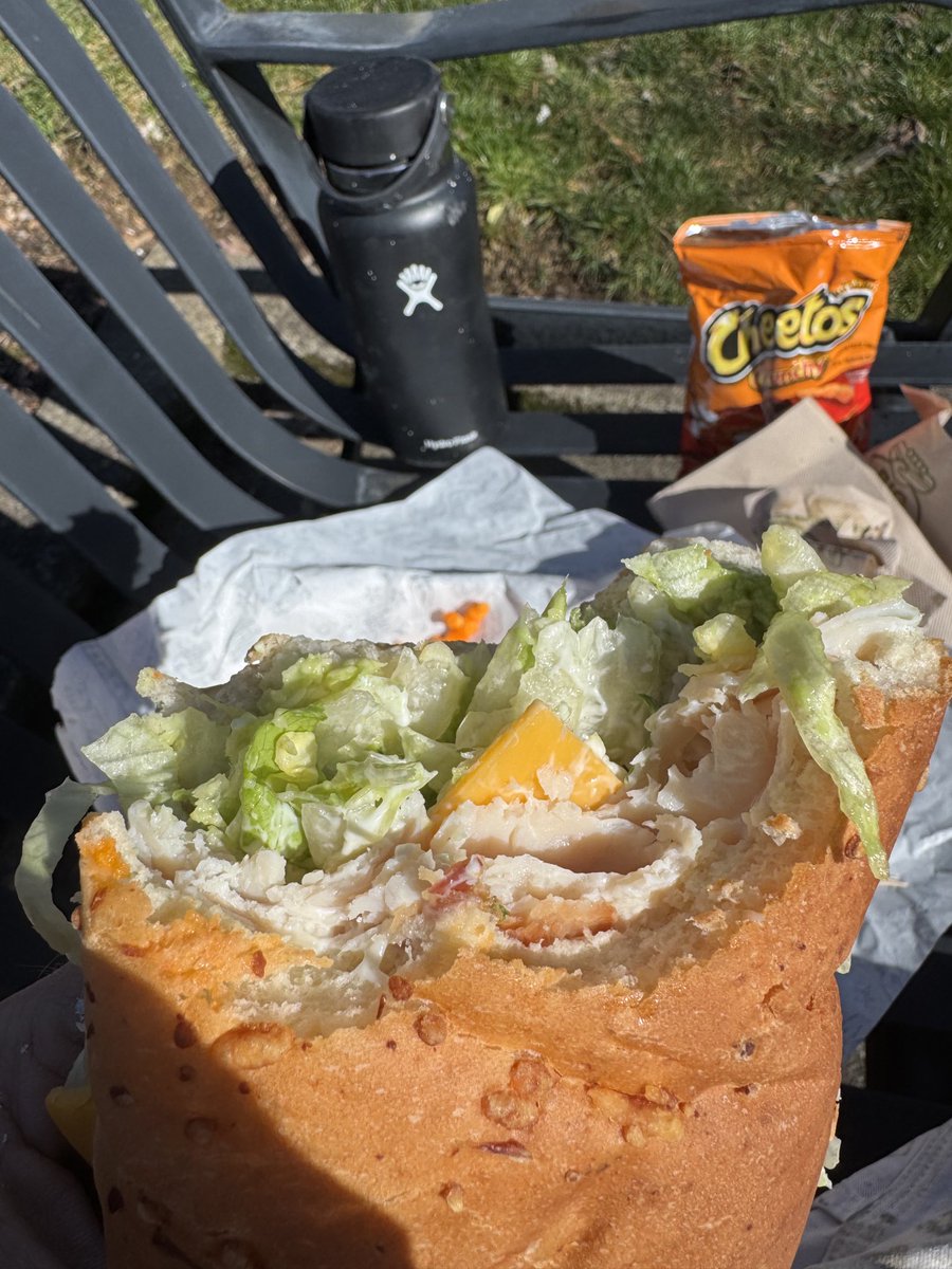 painter488's tweet image. A sandwich will always taste better enjoyed outside on a sunny day.😋