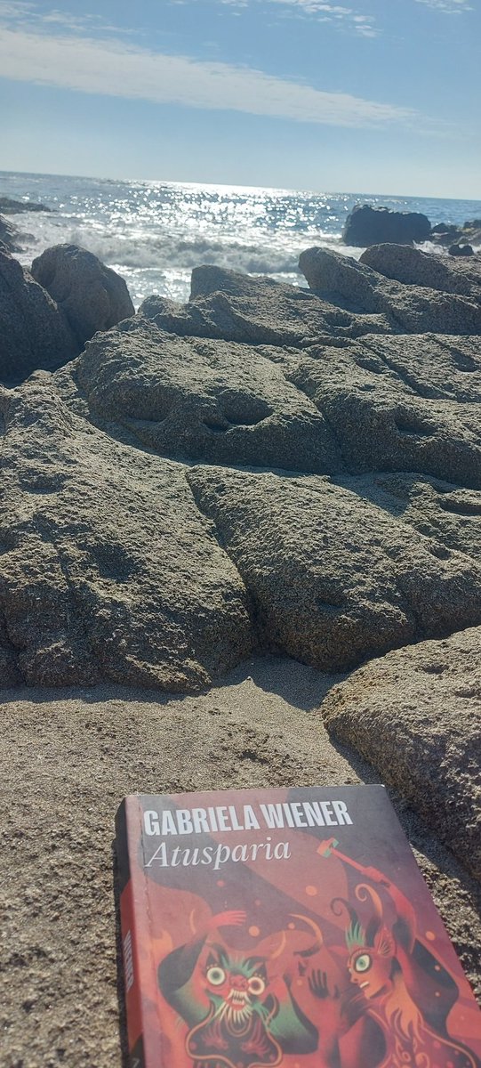 Fernanda Beigel tweet media