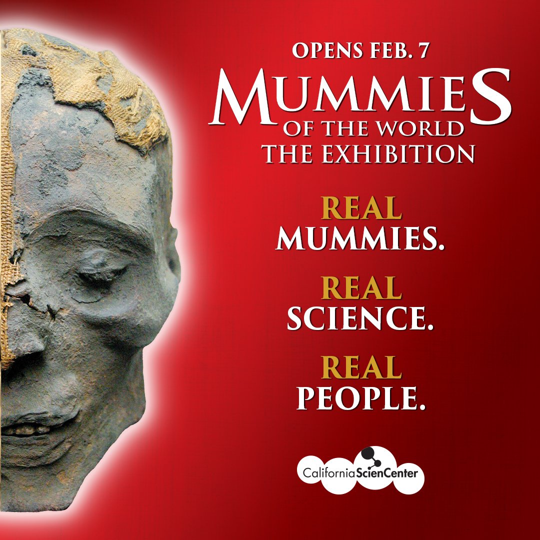 CA Science Center tweet media