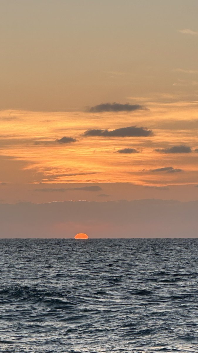 أطبق ماذكرت وصايا أمل سهلاوي في ابياتها وأعيش على ذلك:
كوني حرّة العقلِ
وخوضي العمر خاليةً
وعيشي دهشة الطّفلِ..
كوني الشجاعة ..
فتنتشرين مثل الريح ..
وتختالين مثل الشمس
أريهم كيف يحيا المرء .. 
خالي البالِ .. و الرحلِ
وجوبي الأرض حافيةً 
ولا تخشي من الوحل "