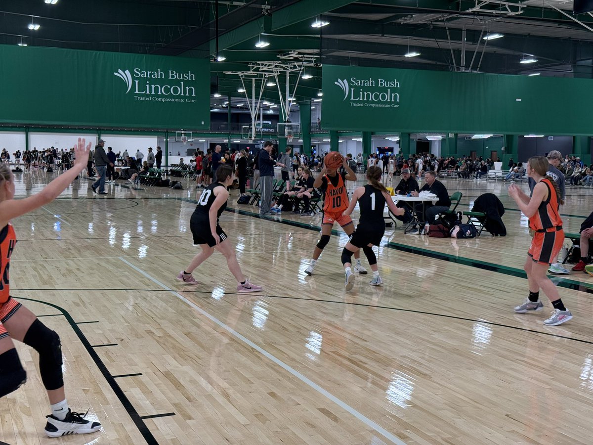 Havoc Basketball tweet media