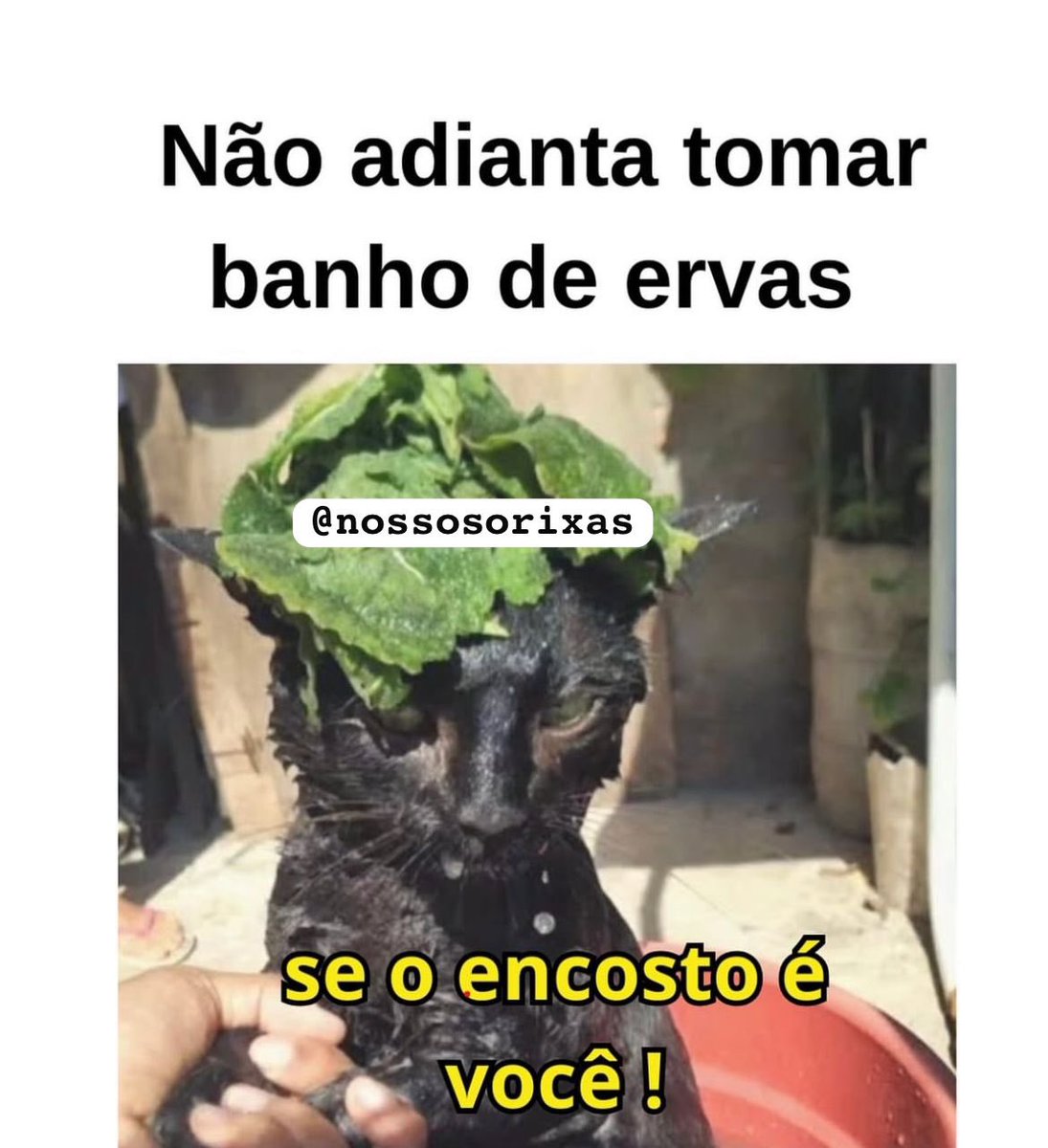 NossosOrixas's tweet photo. https://t.co/FrEvhjGAYC