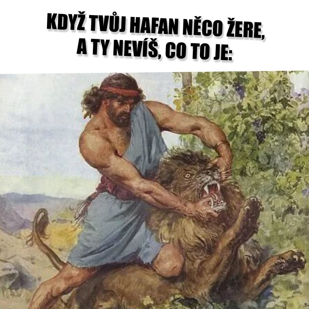 Vedator5's tweet image. 📷 Péče o naše nejlepší domestikované kemy je občas takový... herkuleánský výkon!

#dog #doggo #pes #psék
