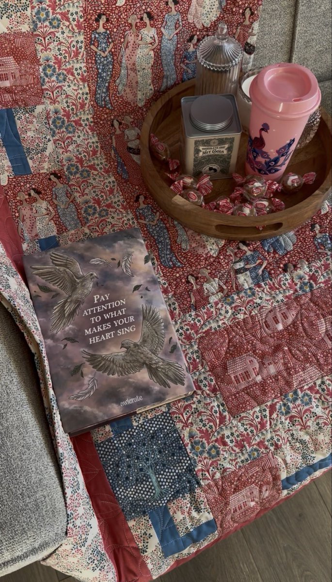 VGDesigns's tweet image. It is time for a cozy vibe check! 📖💕 If you are looking for a special gift this February, I recommend a cozy book and quilt. The Forget-Me-Not Library special edition is still available from @owlcrate winter themed advent box. It looks wonderful with the Lovely Women quilt.