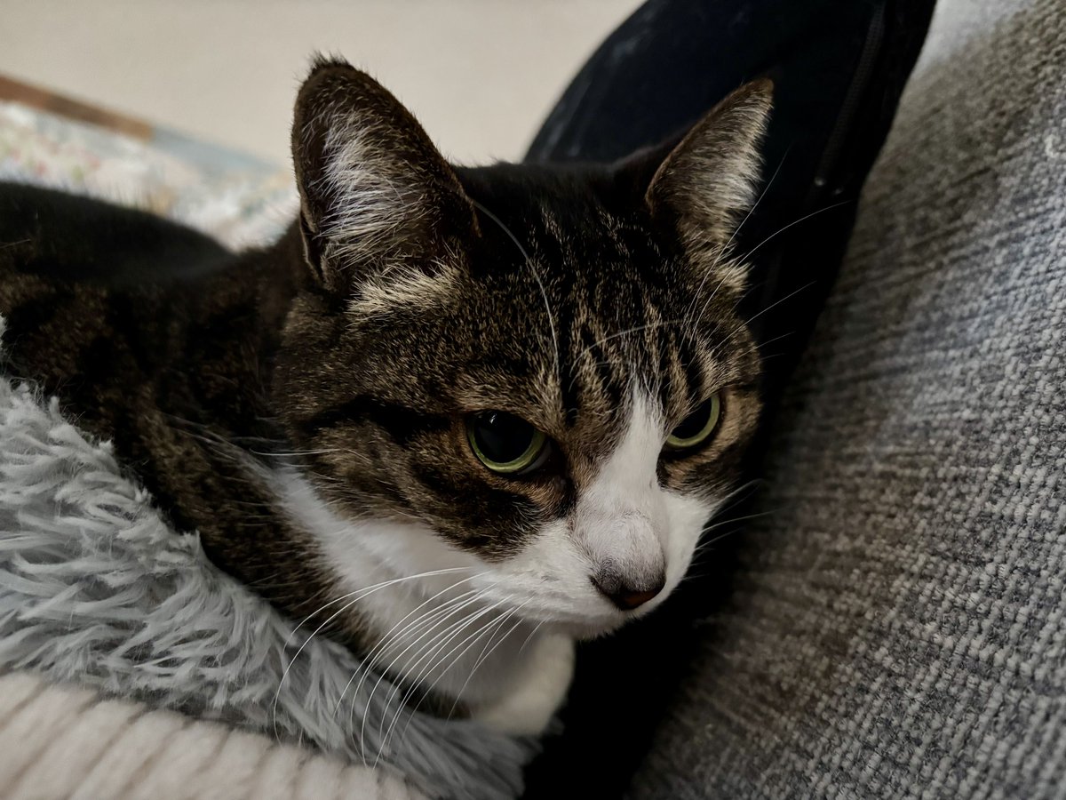 みふゆ(三冬) (@mifuyu_916) / Posts / X