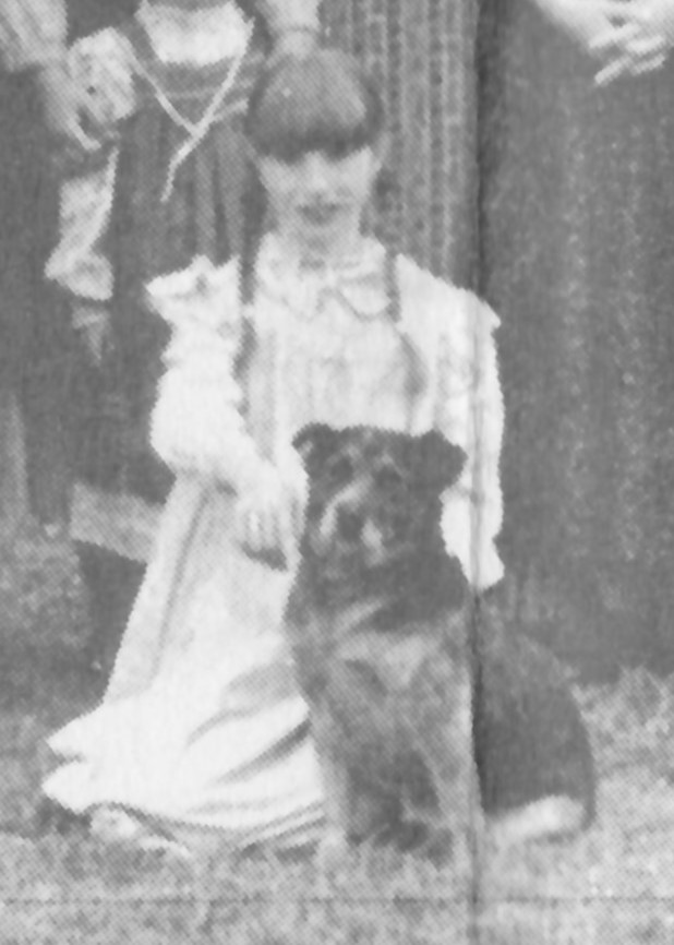 WilderPageant's tweet image. Our Walnut Grove Laura Ingalls Wilder Pageant has had a few "Jacks" the dog, in the show. First "Jeremy" owned by Gary Sykora, and then Trixie &amp;amp; Bandit owned by Fred and Darla Bloch. In reality, Jack never made it to Walnut Grove. Pa traded Jack with Pet and Patty in Kansas