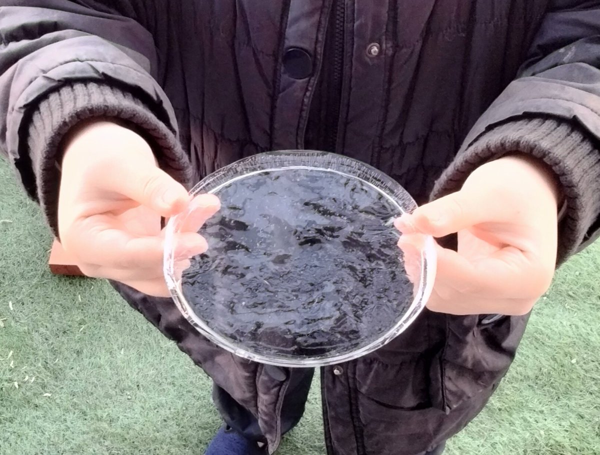 ankoehime's tweet photo. リク(わんこ)の水入れに張っていた氷。
さむ〜 https://t.co/nuiUqGDDJp