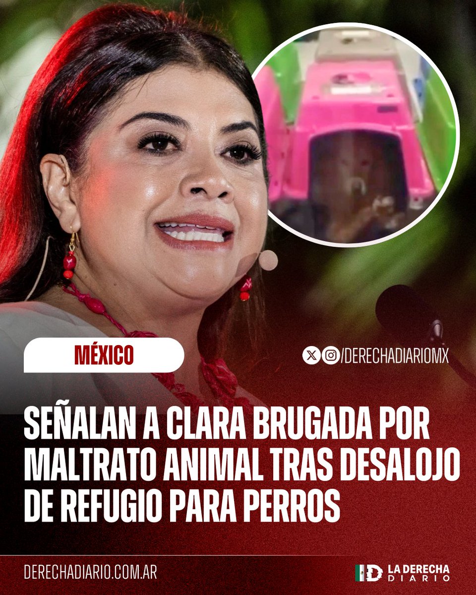 DerechaDiarioMX's tweet image. 🚨🇲🇽 | MISERABLE: La inepta Clara Brugada fue señalada de maltrato animal por activistas luego de desalojar a decenas de perritos de un refugio franciscano y encerrarlos durante todo el día en transportadores porque no tenía donde ponerlos.