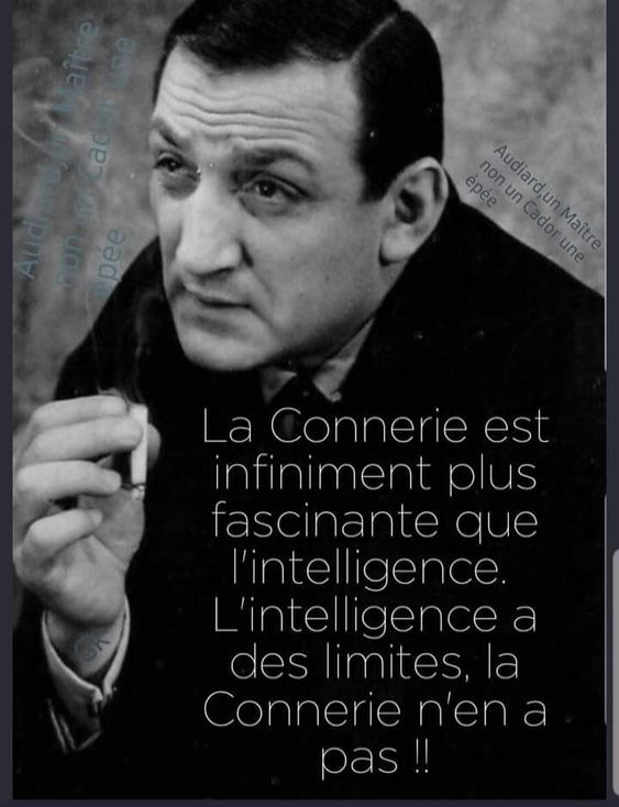 Norvgroen Béatrice tweet media