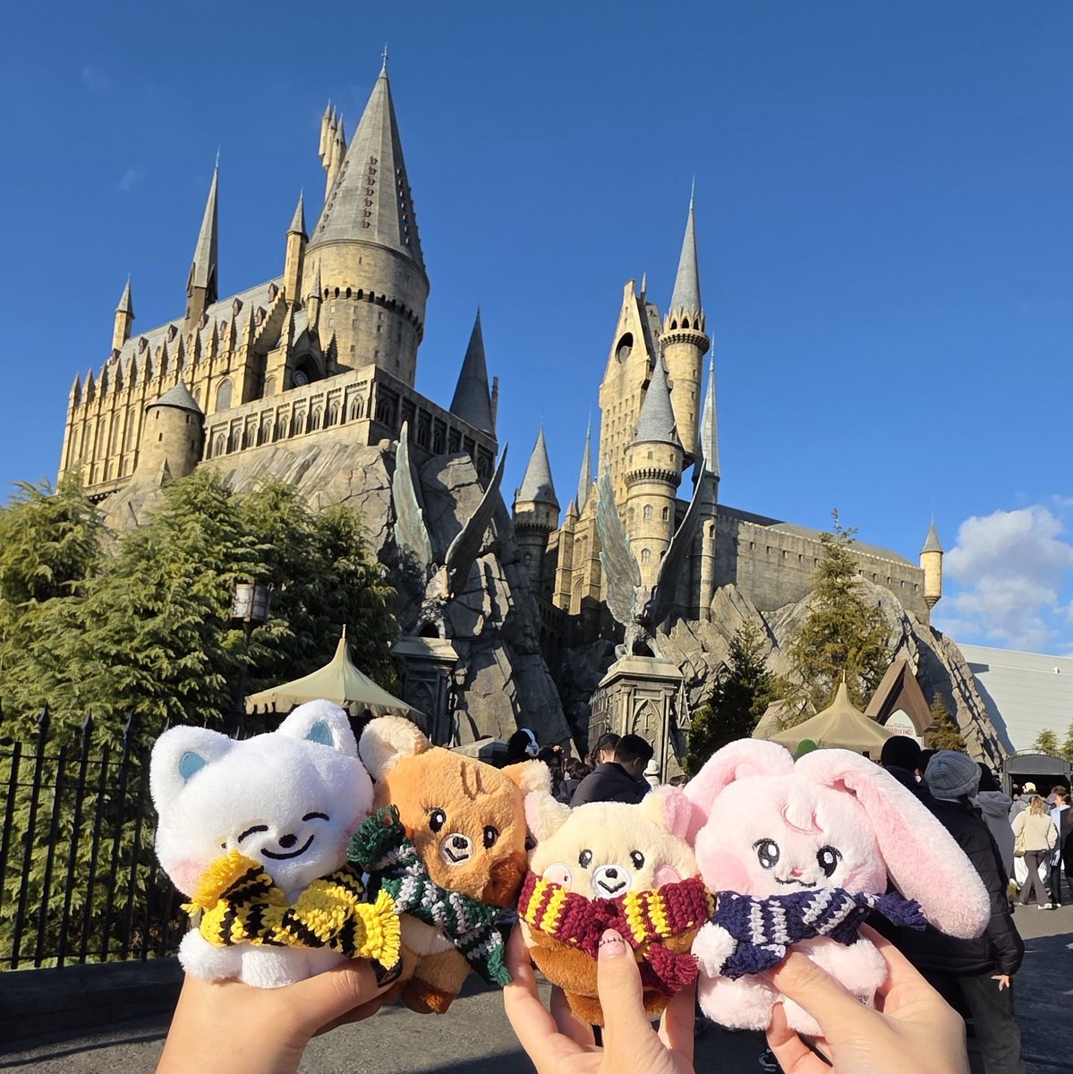 crchthy's tweet image. 호그와트 입학시키고 왓습니다 (ദി⸝⸝.◜࿀◝⸝⸝)