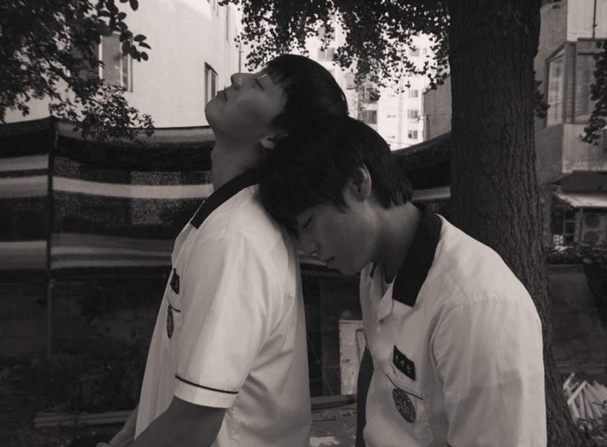 There are people whose hearts, once opened, seem to forget how to close. They might seem so distant, even emotionless, as if their ability to give and receive affection has somehow faltered. They are the ones who shield their boundaries so fiercely that they appear cold-blooded,