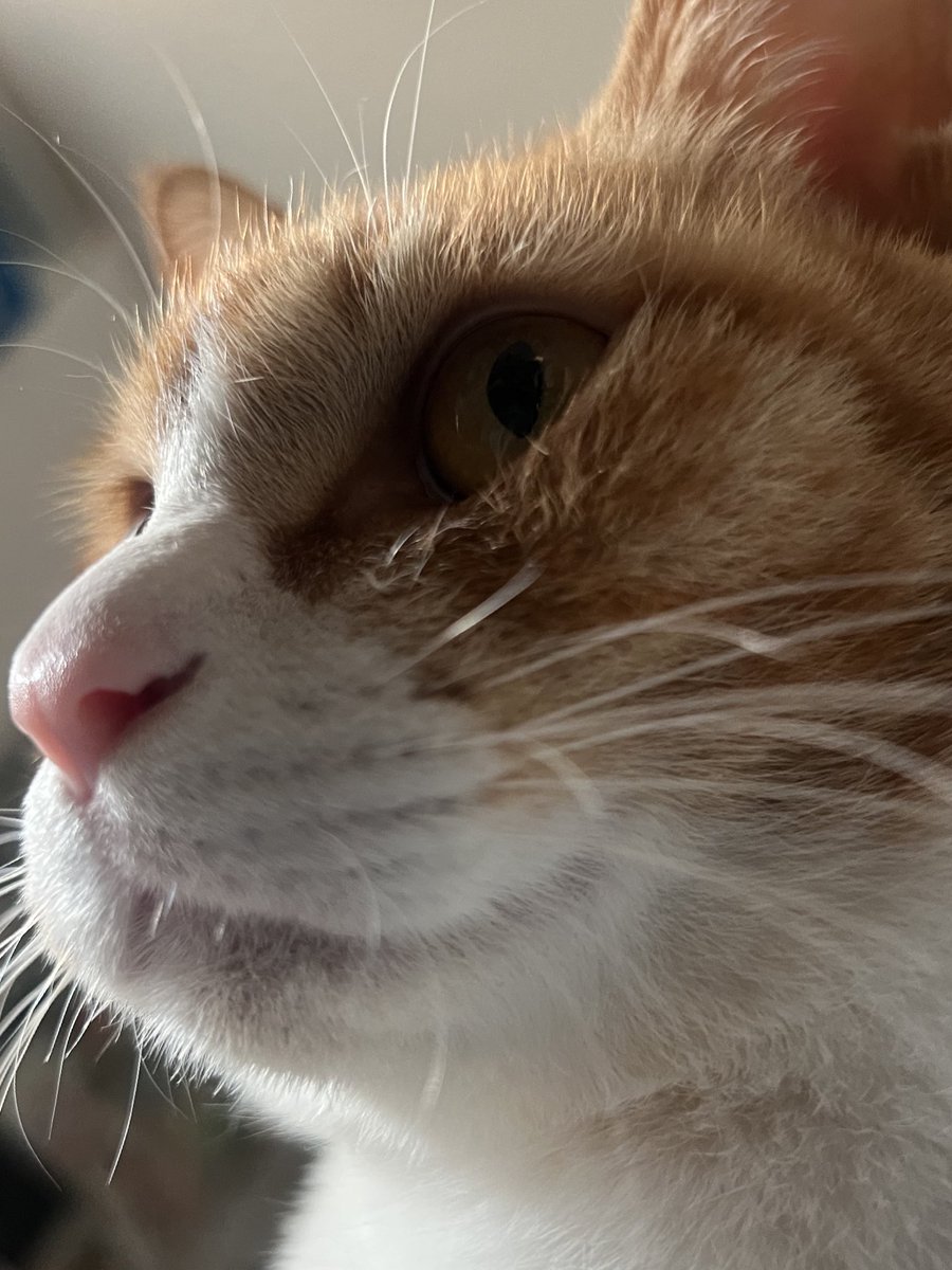 구도 너무 폭력적.