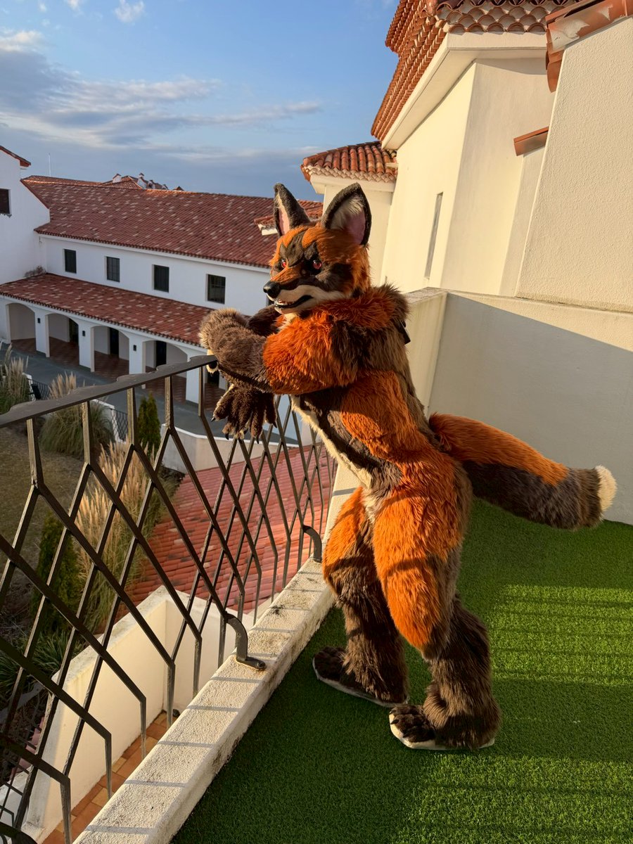 #FursuitEveryday
너무 좋은 경치야~ 😚
📷 <a href="/XXXX_XXXX_10/">ウッキー</a>