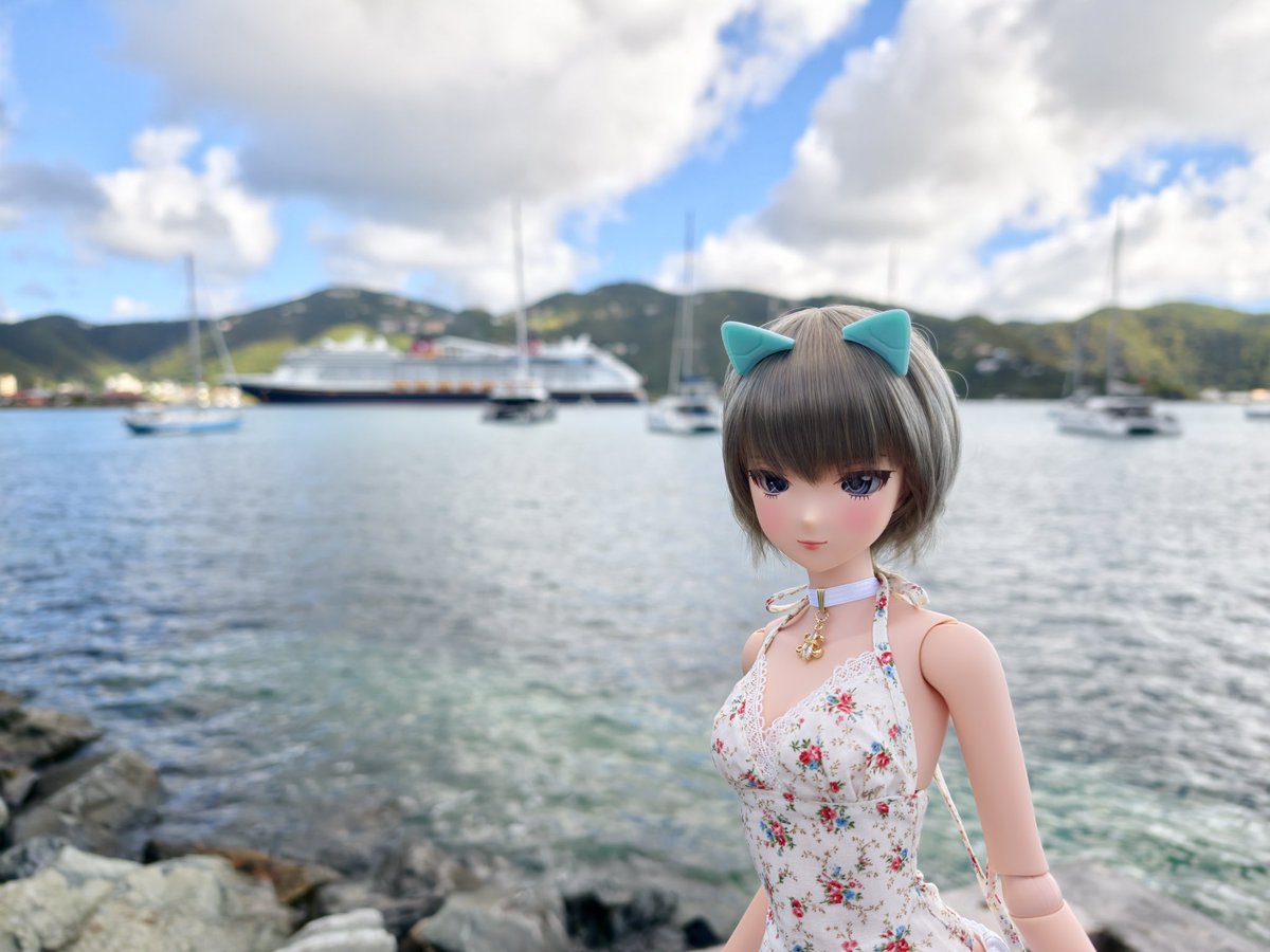 ⭐︎ 柳@プロフ必読。ページ⭐︎ puppy52 (@puppy52) / Posts / X