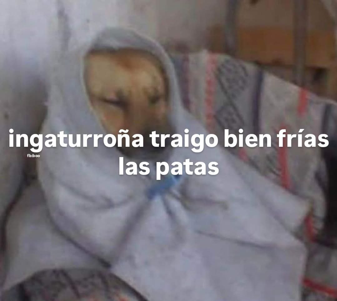 Javisness's tweet image. 