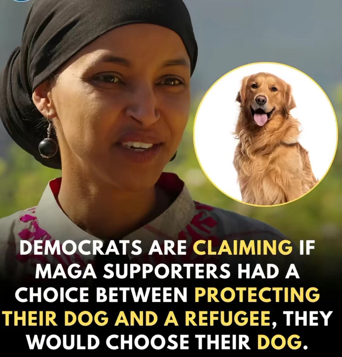 LibTearCreator1's tweet image. Would you rather take in a stay dog or stay immigrant?