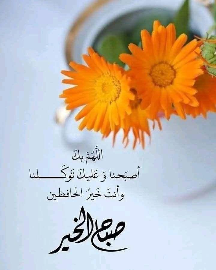 هشام محمد tweet media