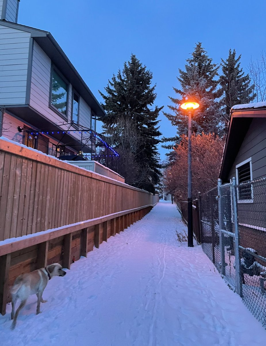 SeaCatWiz's tweet image. Walking my dog twice a day, I have time to think about what I'm doing, why I'm doing it, and how to fix things that are broken.

I call it "remote debugging".

It performs just great.

Does anyone else use this method to recharge and debug their life? 

#buildinpublic #debugging