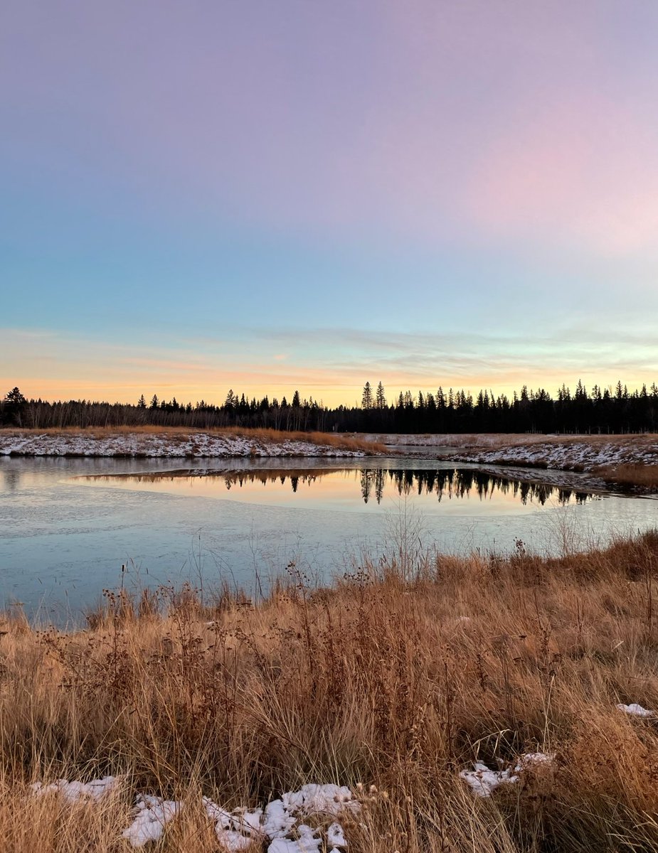 SeaCatWiz's tweet image. Walking my dog twice a day, I have time to think about what I'm doing, why I'm doing it, and how to fix things that are broken.

I call it "remote debugging".

It performs just great.

Does anyone else use this method to recharge and debug their life? 

#buildinpublic #debugging