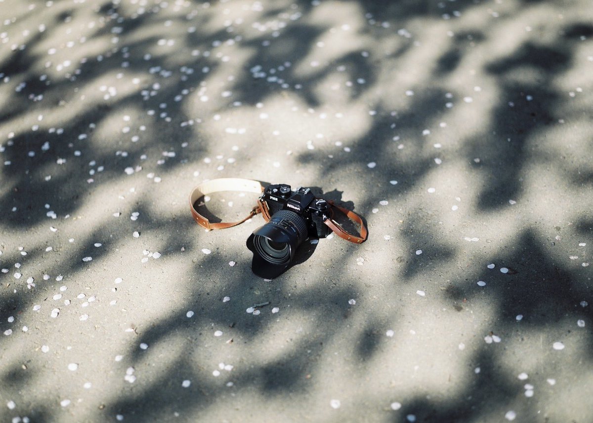 わだち tweet media