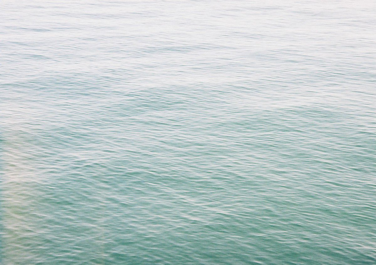 わだち tweet media