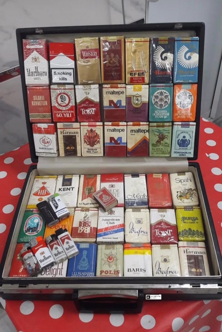 llpipi's tweet image. 