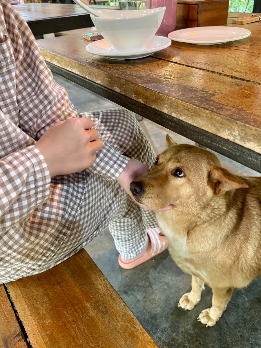 おはようタイランド