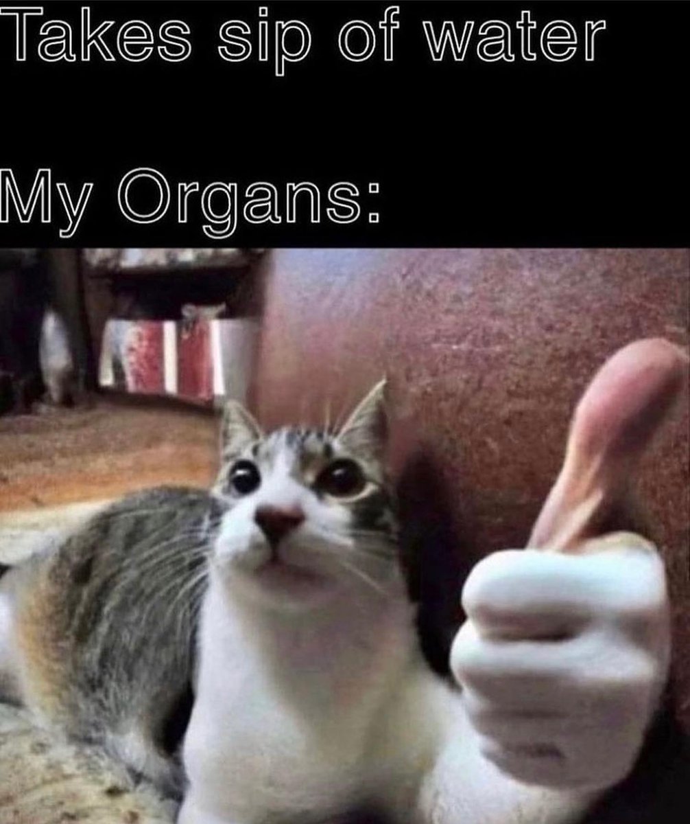 PunchingCat's tweet image. 