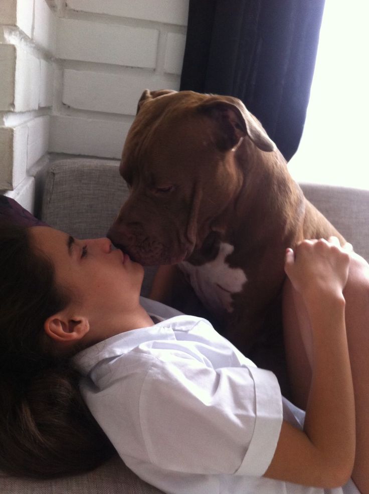 kellymicky9's tweet image. “If you’re still watching previews, you’re missing the real show 😈”
Click on my link below for more info  👇👇👇👇

linktr.ee/janetdiamond

#NSFW
#NSFWTwitter
#SpicyContent
#AdultCreator
#18Plus
#NSFWCommunity
#zoofilà 
#chidai
#dogknot 
#dogwoman 
#dogmom