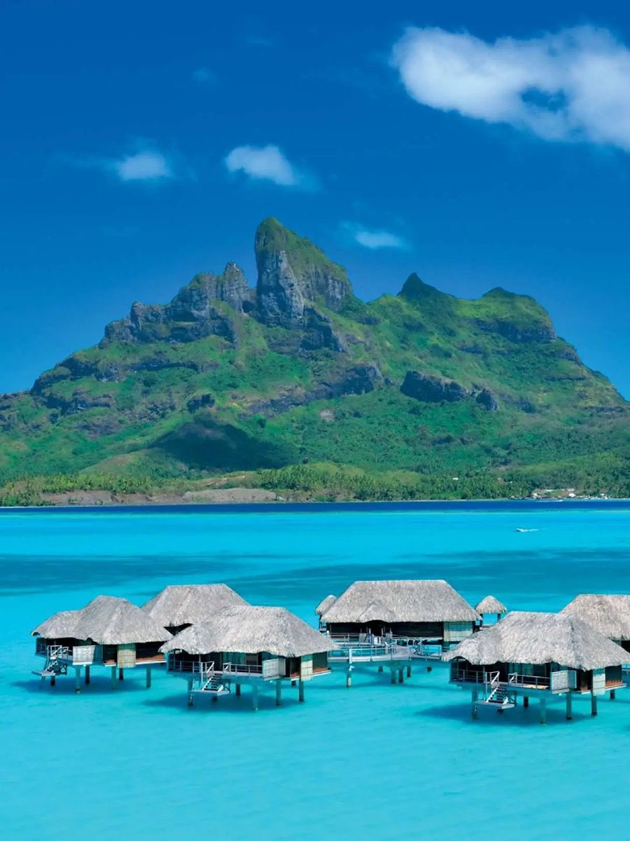 NATURE PORN ☘️ tweet media