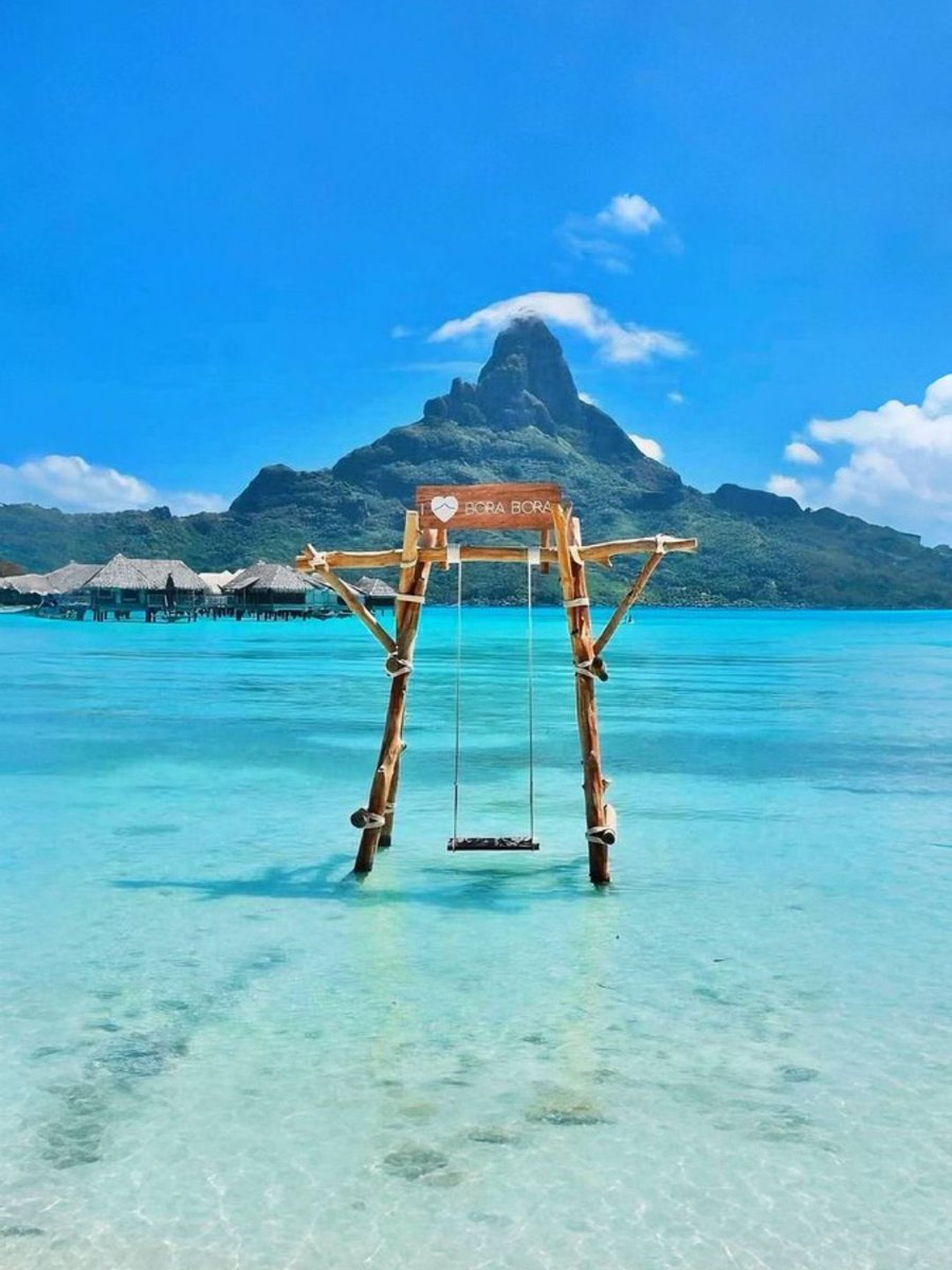 NATURE PORN ☘️ tweet media