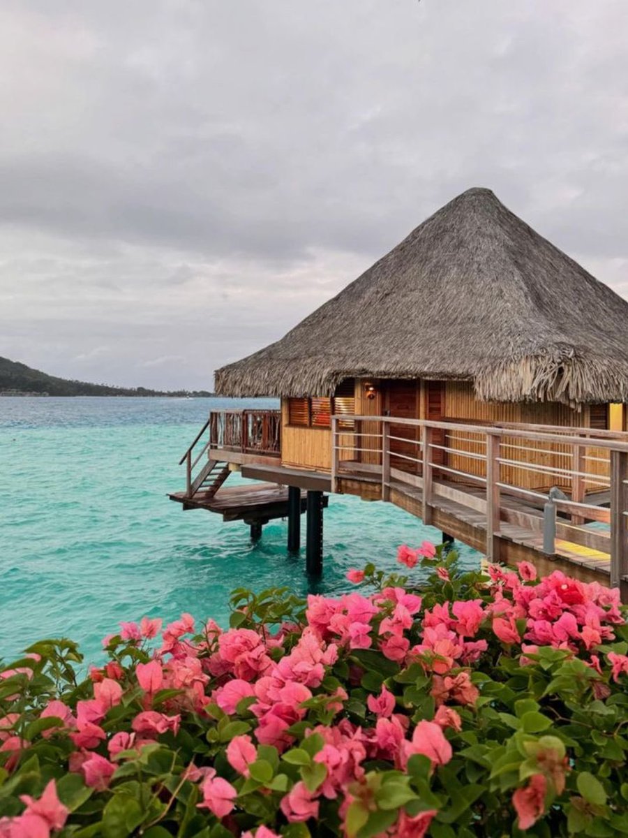 NATURE PORN ☘️ tweet media