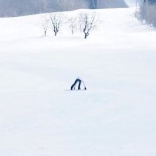 ONE_w_w's tweet image. 전원우도 원프들도 트친들도 빙판길 조심하시오