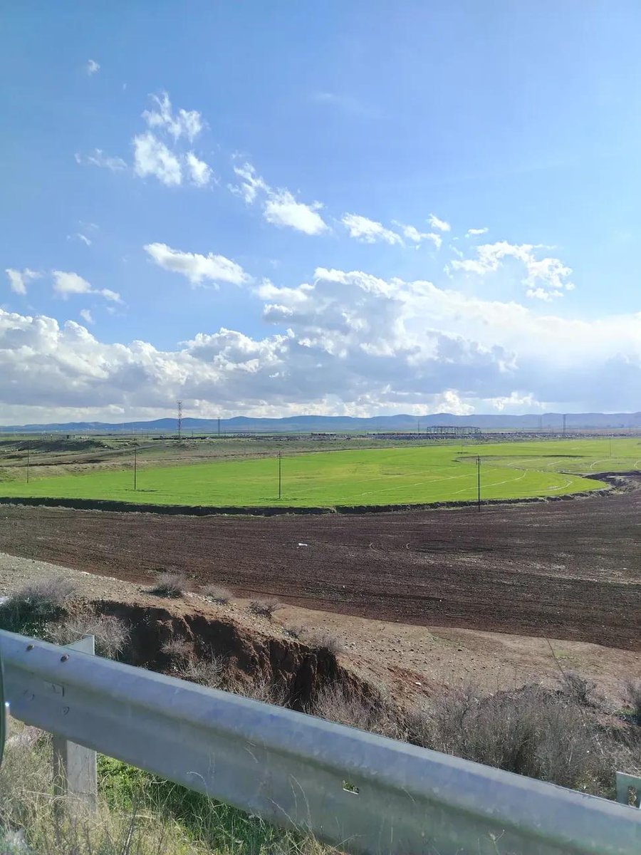 «أحياناً، يكون الصدق كالسكين، يقطع أوهام الناس، فيسيل غضبهم قبل دموعهم. فالحقيقة لا تُرضي كل الآذان، وبعض البشر يفضلون العيش في دفء الوهم على مواجهة برد الحقيقة.».