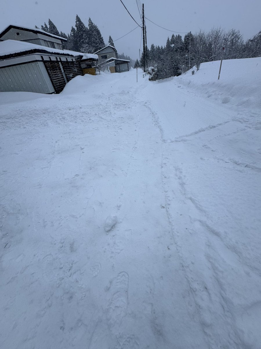 毎日 氷の世界