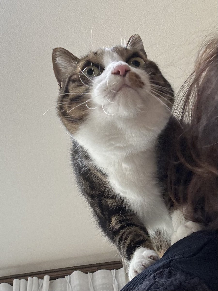 みふゆ(三冬) (@mifuyu_916) / Posts / X