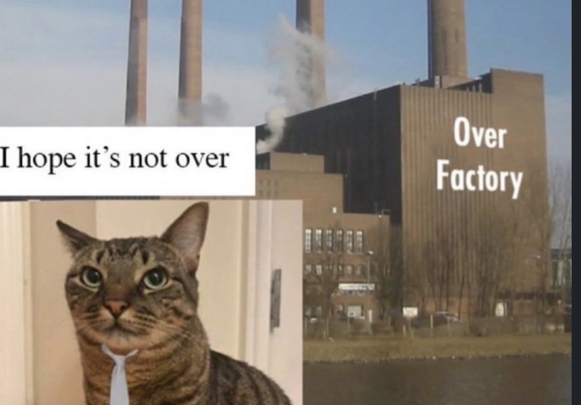 hydra (@blephin_) on Twitter photo 