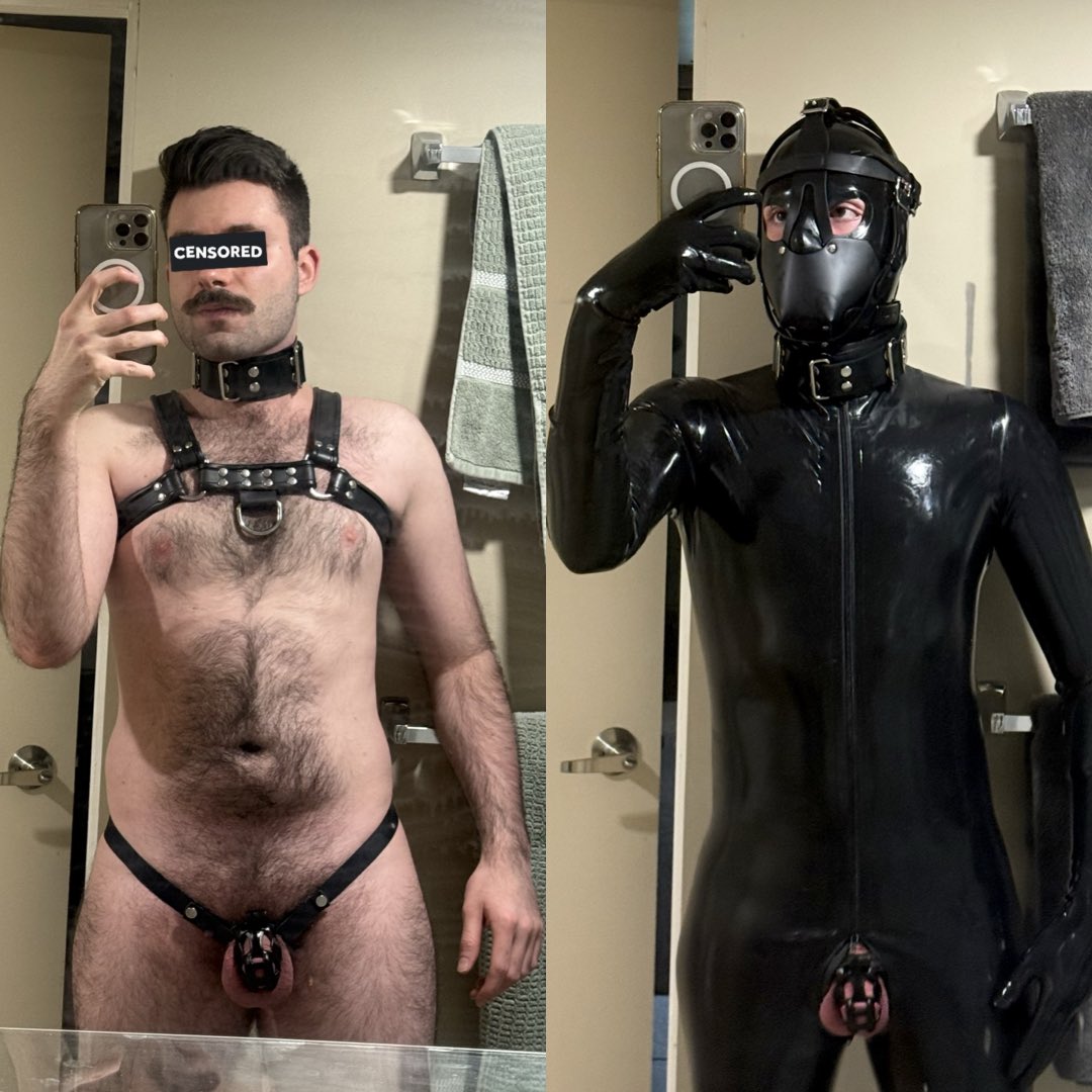 C552S he/him tweet media