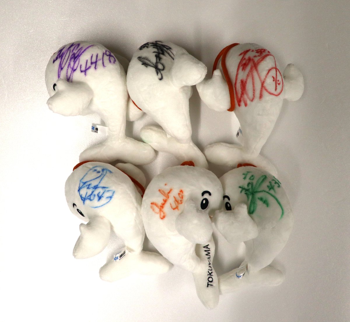 楽天銀行賞」 本日いよいよ優勝戦🔥 優勝戦出場選手 サイン入りす