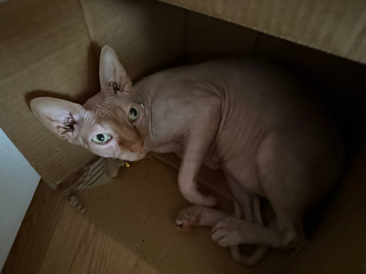 PRNFM1's tweet image. i love her sm