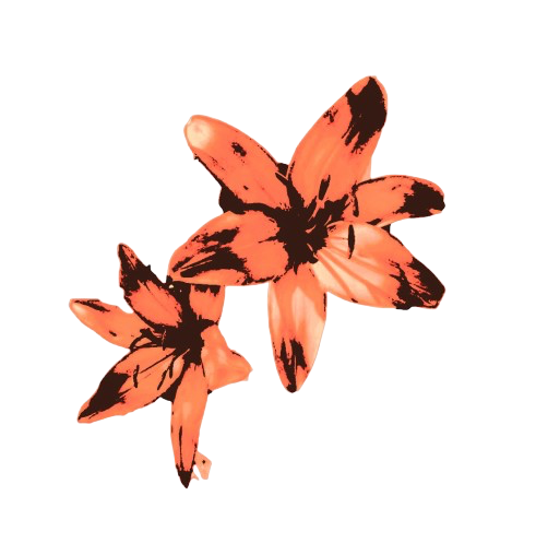 HuntsmanGeomul's tweet photo. Ƭ𖣠                        𝓑E                        𝒜͟
       𝑺𝑻𝑨𝑹                        ᚴ𖣠𝙪                        𝒎𝝁𝑠𝑡
                                               𝓑𝛍ꮢ𝓷    . https://t.co/uKOLSqnVwd