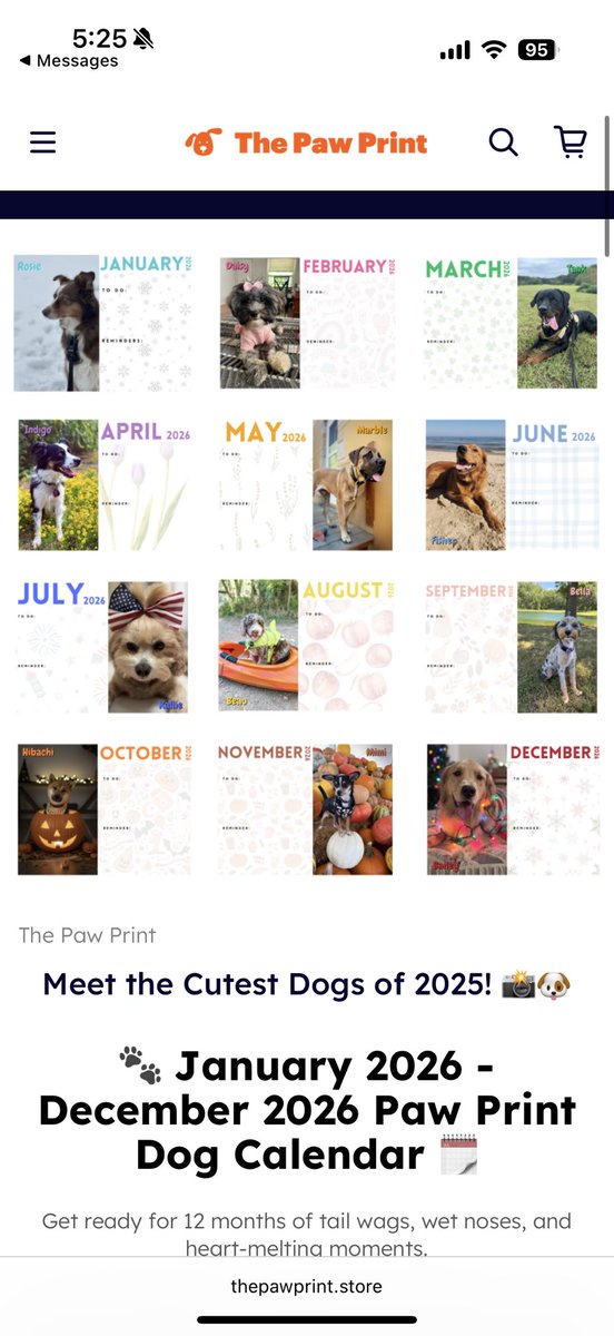 LadyApache94 tweet media