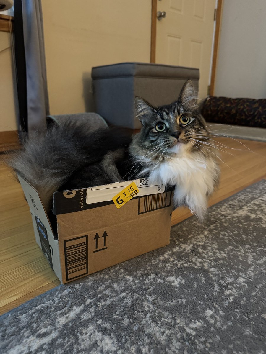 fredandsmoke's tweet image. THIS IS MY NEW BOX 📦📦