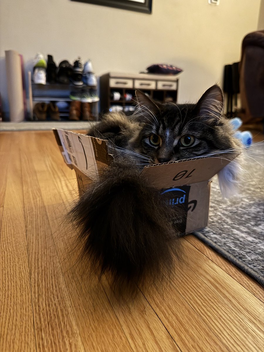 fredandsmoke's tweet image. THIS IS MY NEW BOX 📦📦