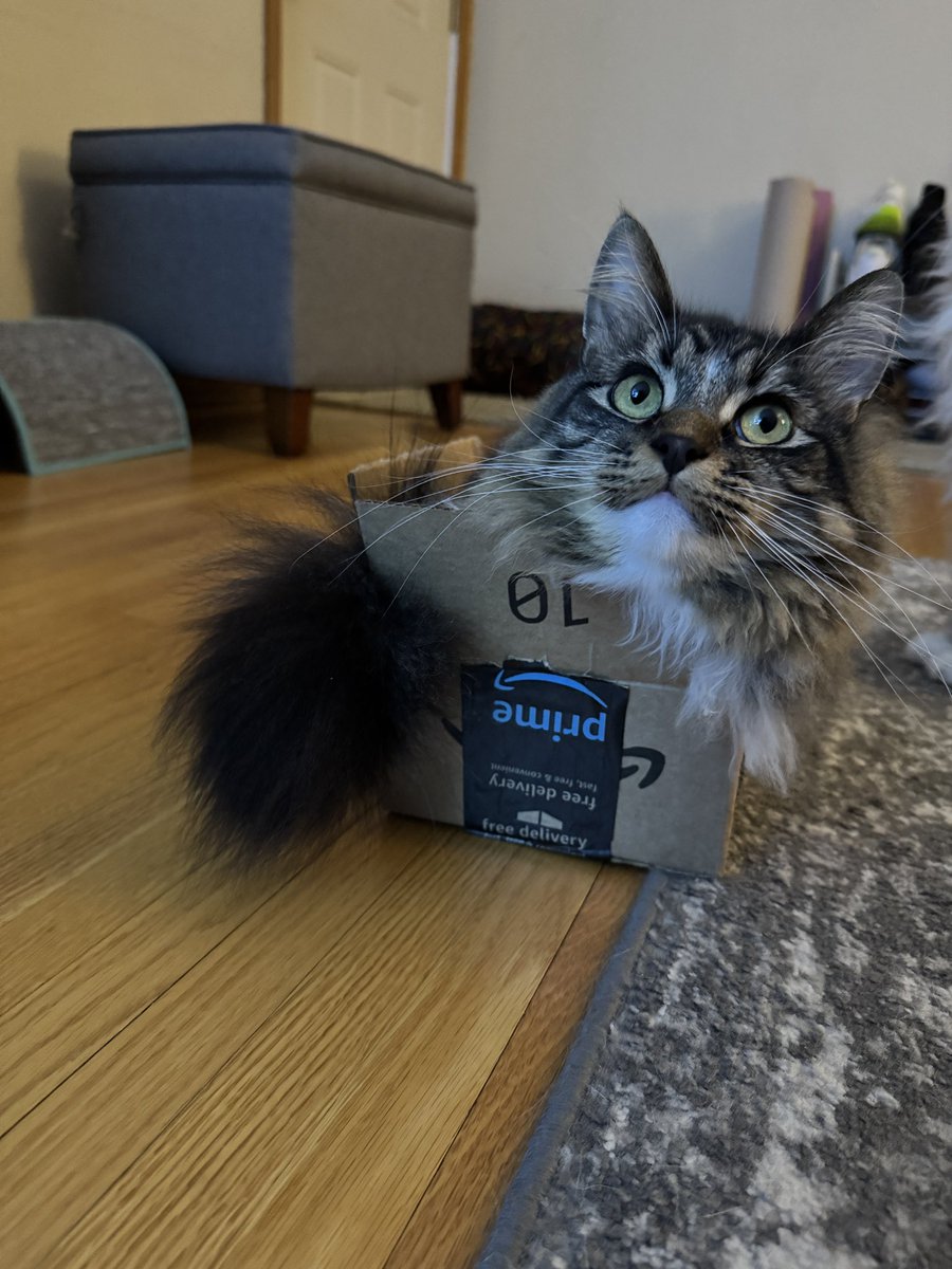 fredandsmoke's tweet image. THIS IS MY NEW BOX 📦📦